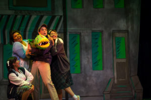 2016727.Little Shop of Horrors.CK-117