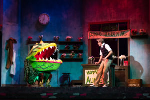 2016727.Little Shop of Horrors.CK-221